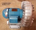 /album/produtos-1/compressor-radial-4cv-jpg1/